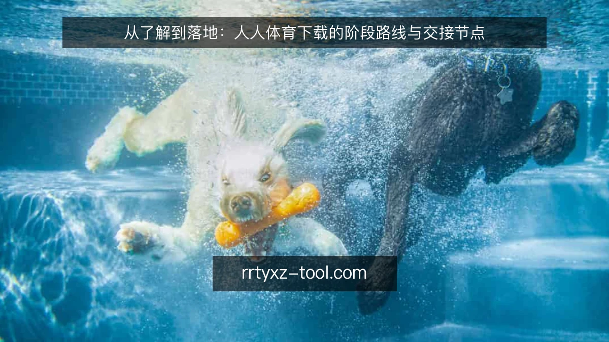 从了解到落地：人人体育下载的阶段路线与交接节点