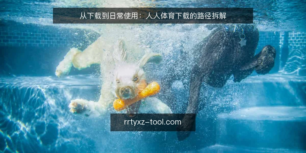 从下载到日常使用:人人体育下载的路径拆解 — 需求出现时的下载场景 配图